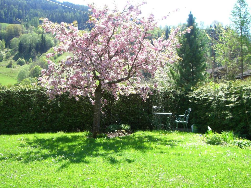 Apartament Basti